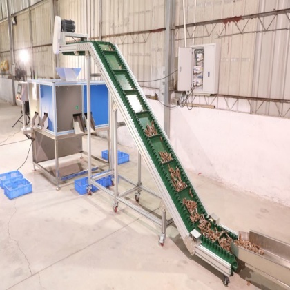 Sorters Equipment